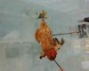 VIDEO: Live Chickens used as archery targets at Chinese festival because its ‘tradition’