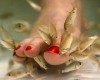 Fish pedicure case goes to court