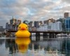 VIDEO: Giant rubber duck swims through Sydney harbour