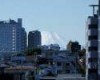 Tokyo’s last street level view of Mount Fuji soon to be obscured