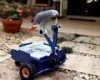 VIDEO: Florida Man Builds Mini Car for His Pet Parrot
