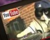 Software developer fired after he outsourced job to China and spent all day watching cat videos online