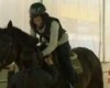 South Korean internet addicts offered horse therapy to cure their web cravings