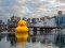 VIDEO: Giant rubber duck swims through Sydney harbour