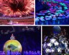 VIDEO: Paralympic Games open in spectacular style