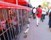 Organizers of Chinese festival slammed for locking beggars in CAGES